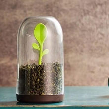 ظرف نگهدارنده چای و قهوه طرح برگ
